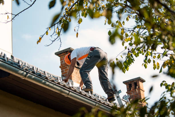 Roof Gutter Cleaning in Calabash, NC